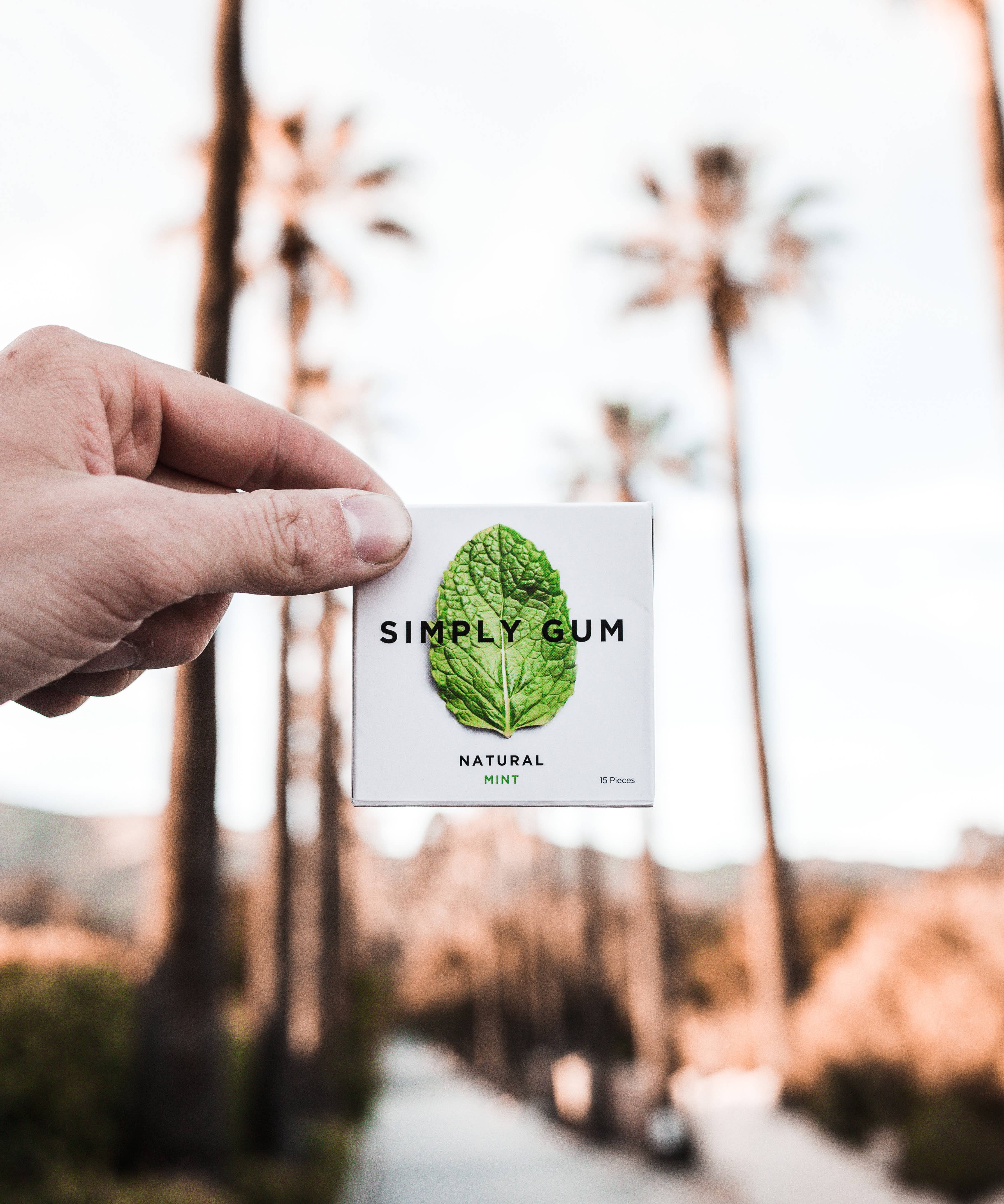 Simply Gum - Sugar Free - Peppermint