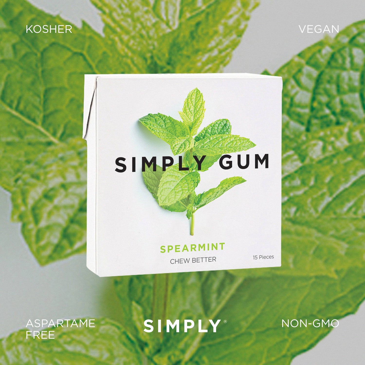 Simply Gum - Spearmint - Natural Chewing Gum
